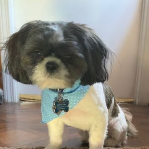 Meet your Posher, Donaja